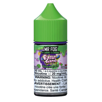 E-liquide MR FOG Salt - Série Bubble Gang - Pastèque